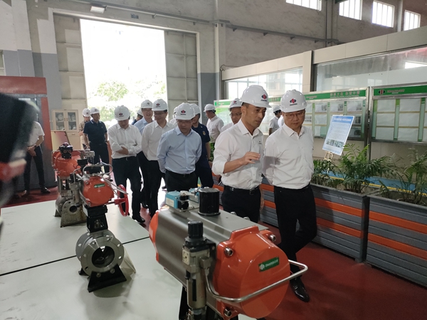 湖州市市長王綱、長興縣縣長沈志偉等市縣領導蒞臨國家高新技術企業(yè)——浙江中德科技股份視察
